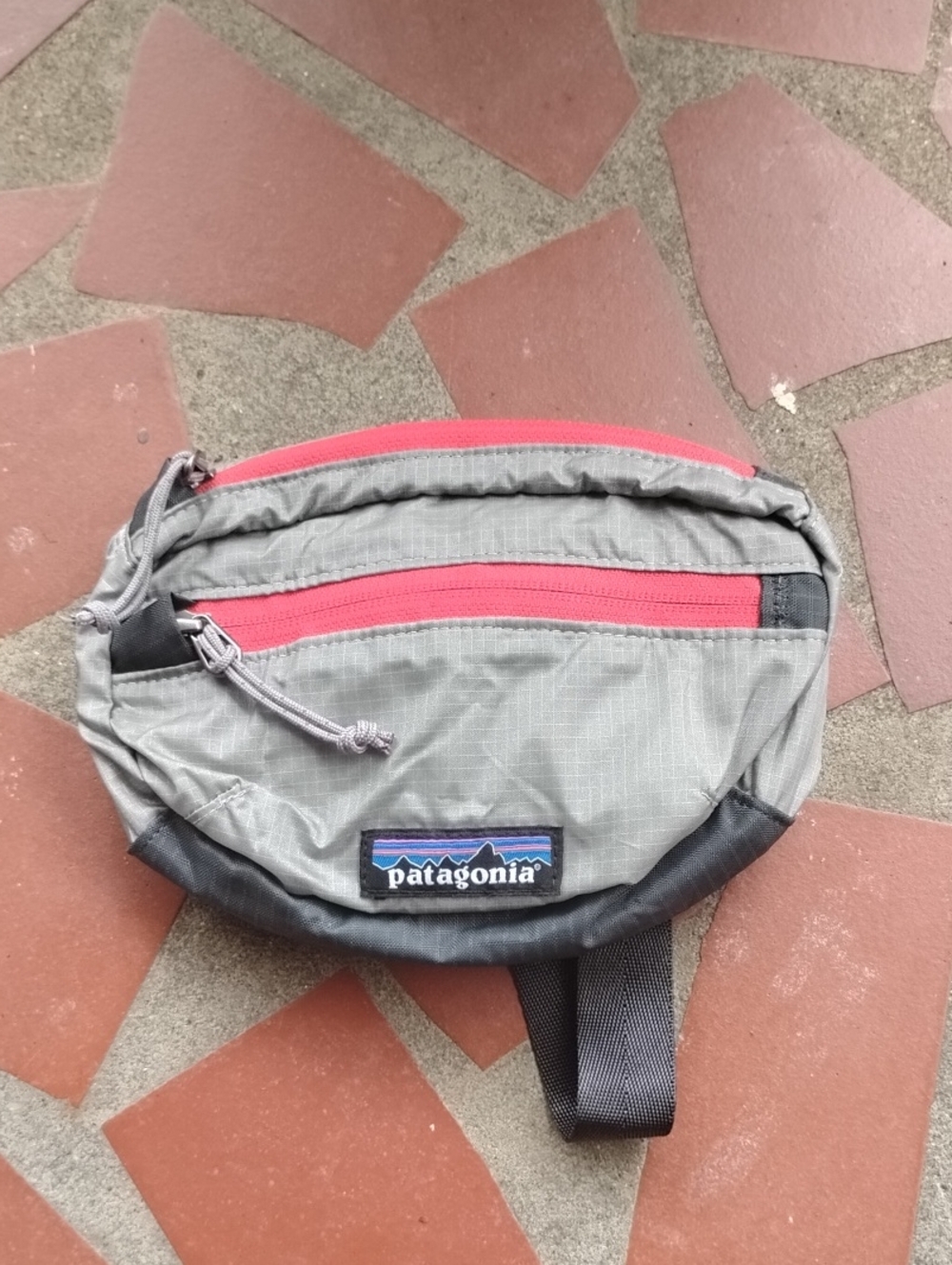 Patagonia Fanny Pack